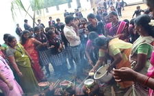 Pongal